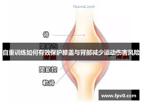 自重训练如何有效保护膝盖与背部减少运动伤害风险